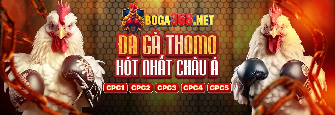 Tin tức đá gà kjc ios
