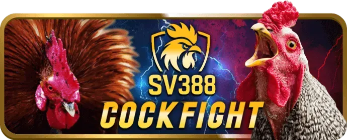 Cài đặt cookie trên trình duyệt